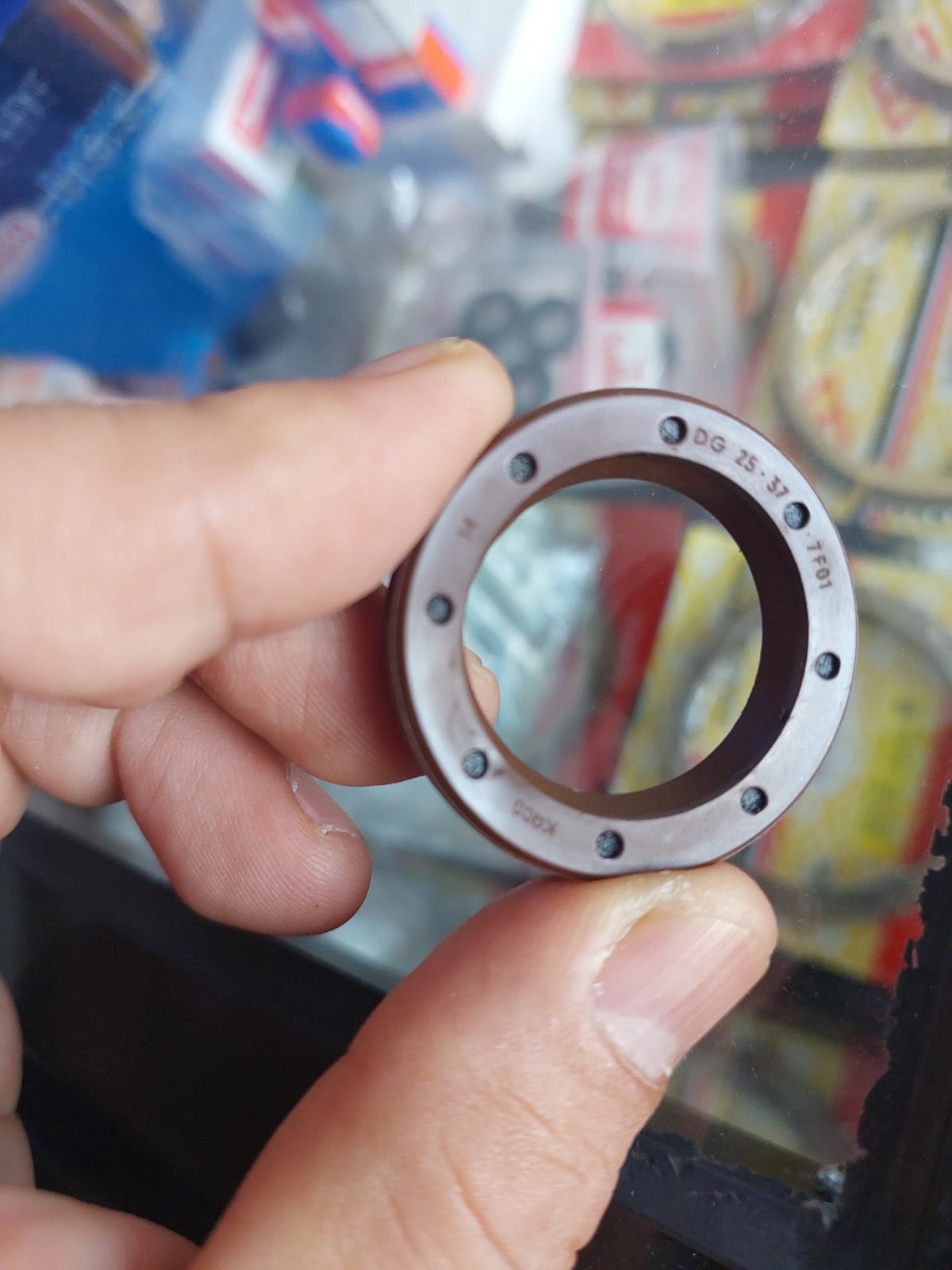 Bosch Genuine high-pressure fuel pump shaft seal F00N202337 DG 25x37x7