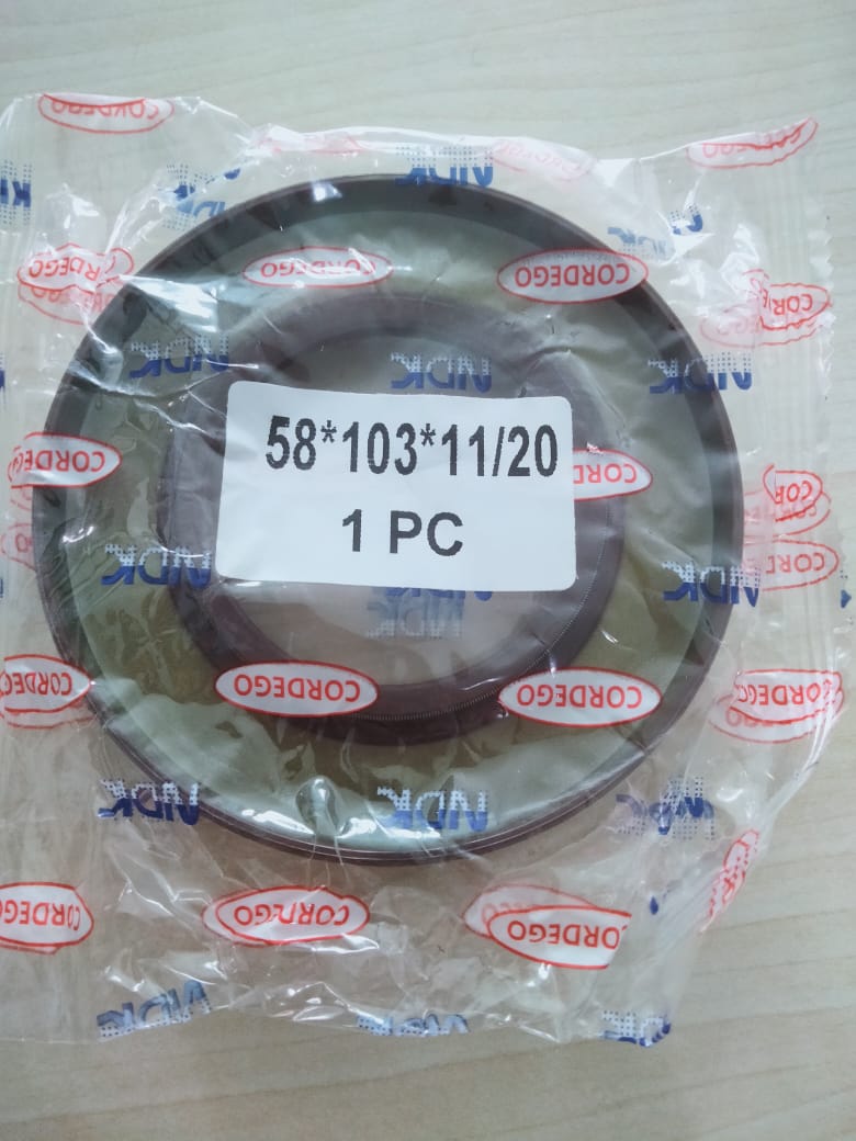 SEAL PION LT125 58x103x1120