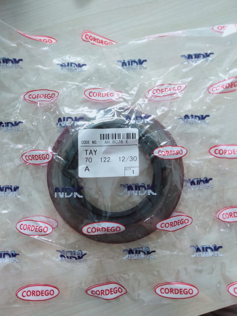 SEAL PION PS190 70x122x1230