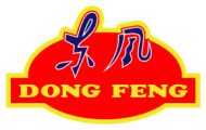 dong feng logo