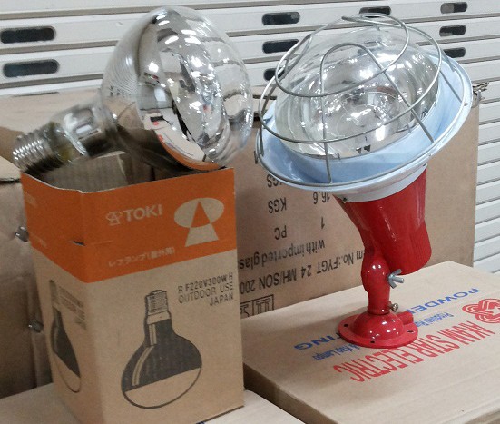 LAMPU SOROT TOKI 500 WATT 220V